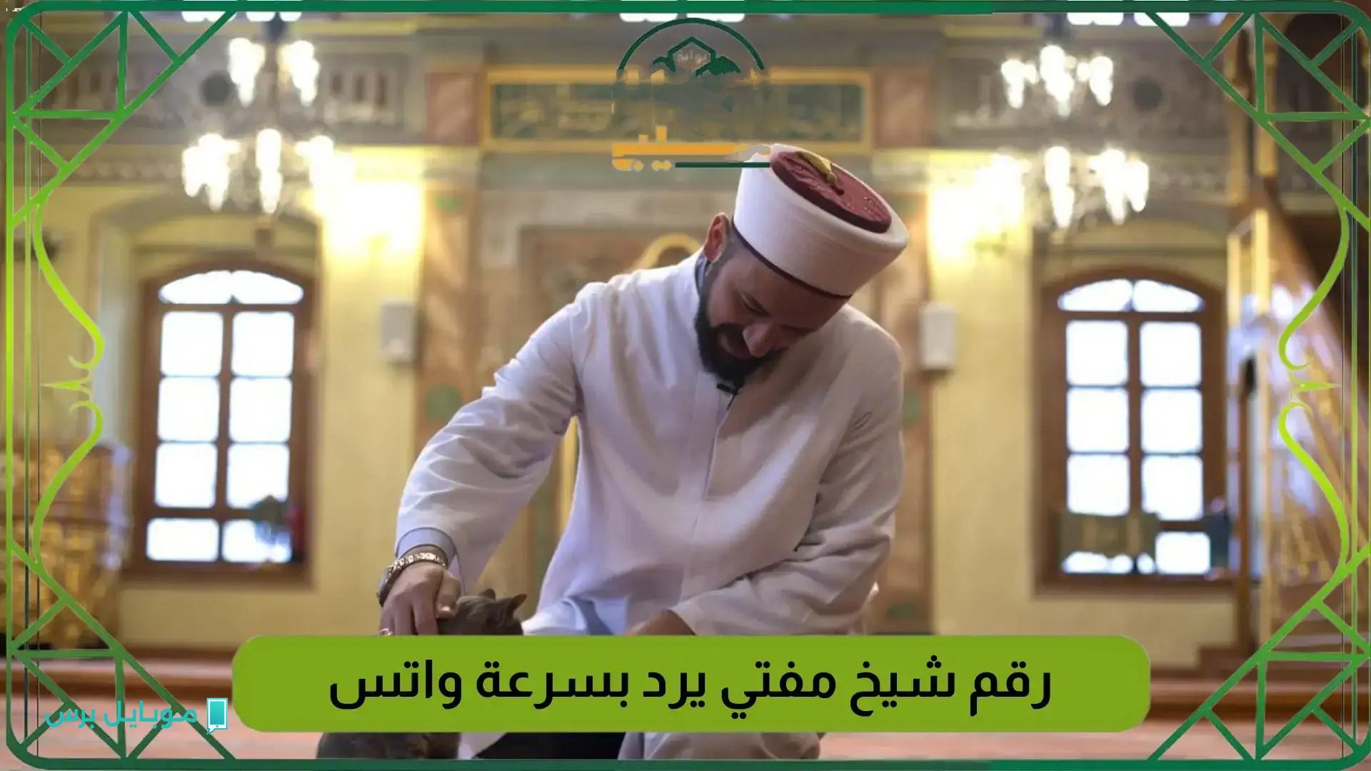 “تقديم فتـاوي مجـانا” رقم شيخ مفتي للرد على جميـع الاستفسارات والأسئلة في جميع الأمور
