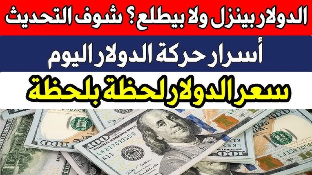 تراجــع خالص.. سعر الدولار اليوم في البنوك المصرية الرسمية وتحديثات لحظية لحركة السوق