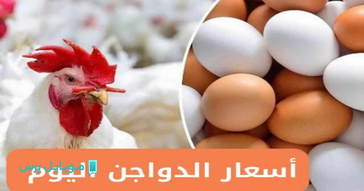 سعر الفراخ البيضاء النهاردة شوفوا المفاجأة.. هبوط حاد في الأسعار يوم الجمعة 25 يوليو!