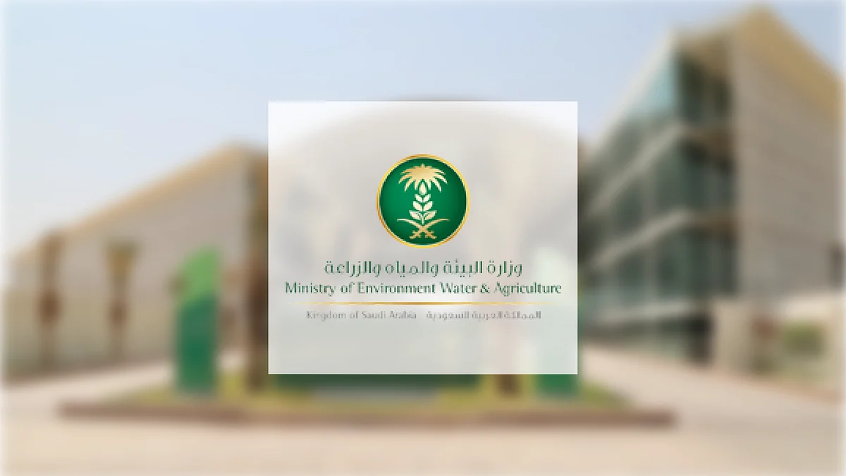 ضبط رؤوس الإبل السائبة وإتلاف كميات كبيرة من الخضروات والفواكه المخالفة بالمدينة