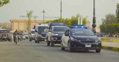كواليس إلقاء بقايا الحيوانات في الإسكندرية: تحقيقات الداخلية تكشف التفاصيل