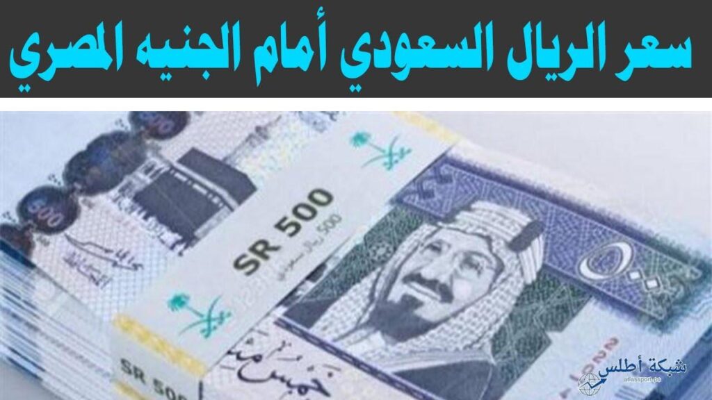 لحظة بلحظة: تحديث سعر الدولار الأمريكي مقابل الجنيه المصري اليوم الأحد 6 يوليو