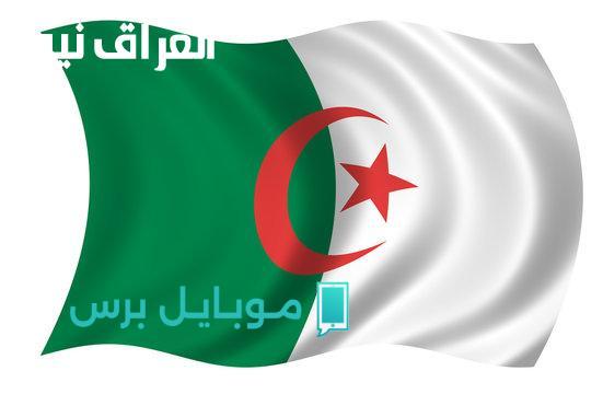 مفاجأة 2025: خطوات بسيطة لتجديد منحة البطالة في الجزائر أونلاين.. لا تضيع الوقت!