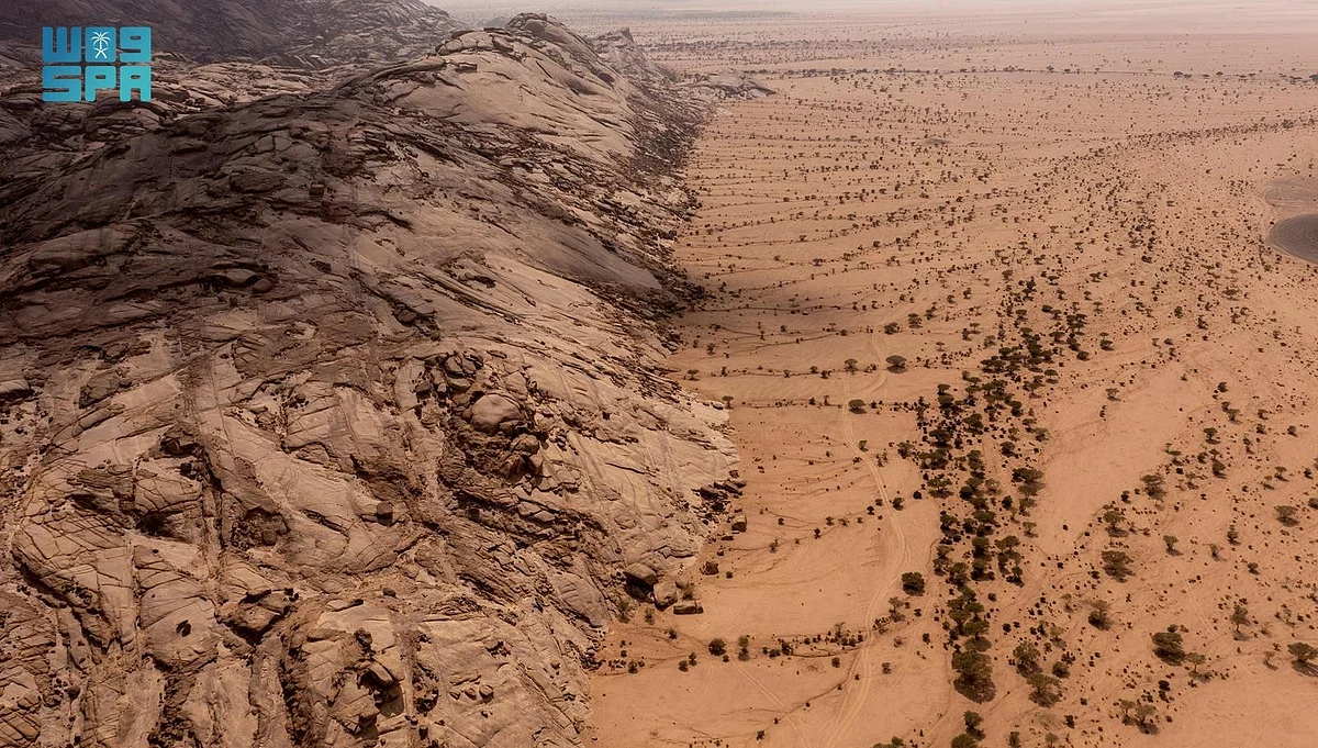 من التصحر إلى الاستدامة: جهود المملكة في تأهيل الأراضي المتدهورة