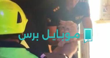 إنقاذ قطة من ارتفاع عشوائي في مصر الجديدة: لحظات مثيرة ومؤثرة