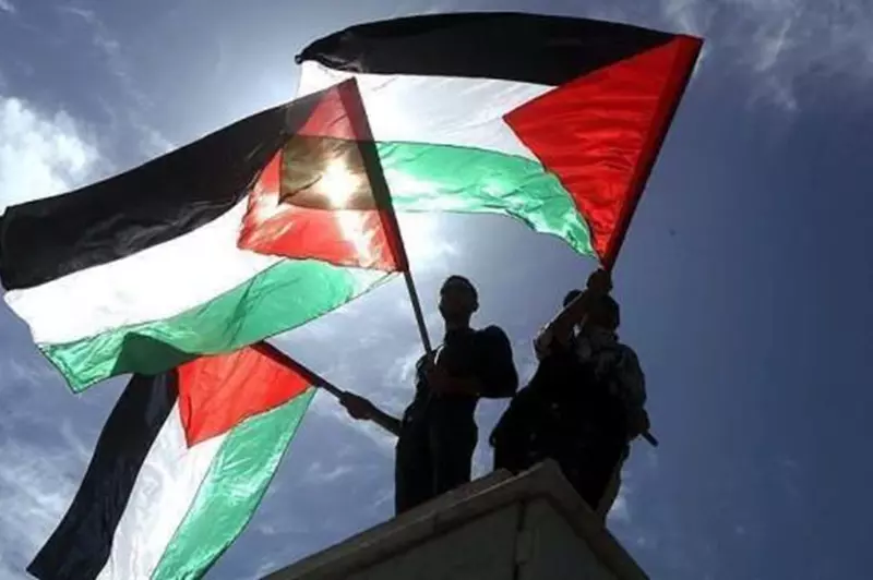 التضامن الدولي مع فلسطين: دور النرويج في دعم غزة من خلال العائدات الرياضية