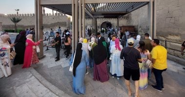 تفاعل الجماهير وتأثيراته في حفلات مهرجان القلعة: حالة مدحت صالح ونسمة عبد العزيز