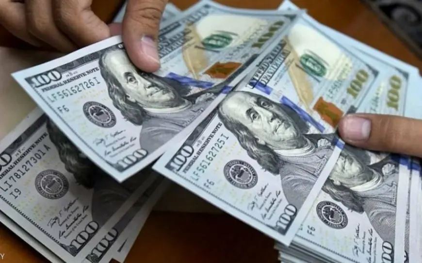 سعر الدولار اليوم مقابل الجنيه المصري: الأخضر يتراجع في 5 أغسطس 2025