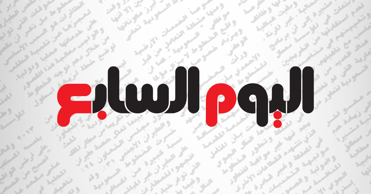 محامى بدرية طلبة يؤكد براءة موكلته أمام المحكمة