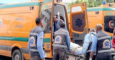 مصرع لص إثر فشله في سرقة شقة بالطالبية