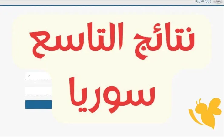 نتائج الصف التاسع 2025 في سوريا: كيف تحقق النجاح برقم الاكتتاب؟