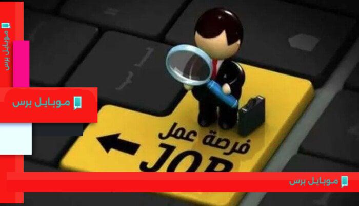 وظائف شاغرة برواتب تصل إلى 9000 جنيه لجميع المؤهلات – التفاصيل الكاملة والأوراق المطلوبة