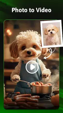 تحميل تطبيق MVideo مهكر Apk للاندرويد 2026 أخر إصدار مجانا تحميل تطبيق MVideo مهكر Apk للاندرويد 2026 أخر إصدار مجانا