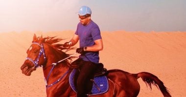 عصام السقا: جمالية الخيول في جلسة تصوير مميزة