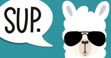 Meta Llama: استكشاف حدود الذكاء الاصطناعي التوليدي المفتوح