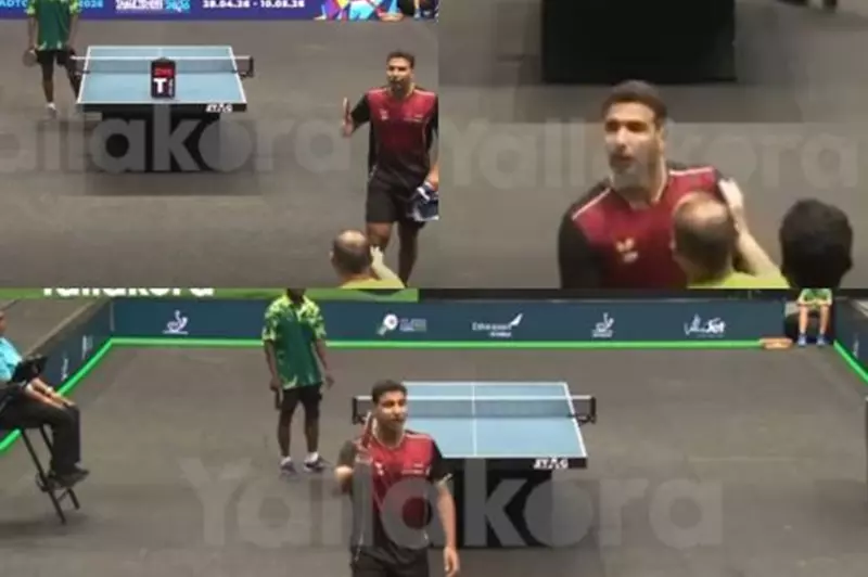 تحقيقات في قضايا منتخب مصر: عمر عصر ومحمود أشرف تحت المجهر