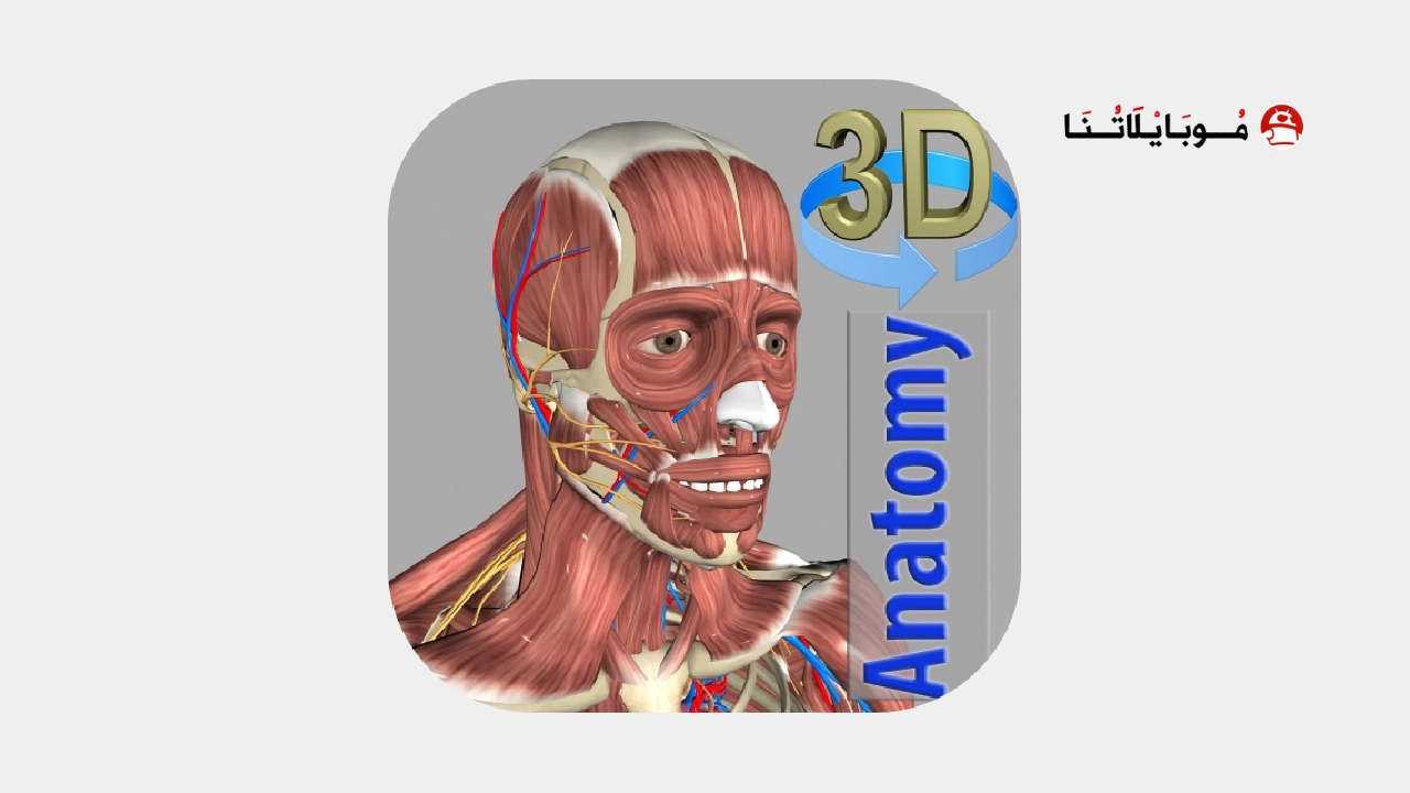 3D Anatomy