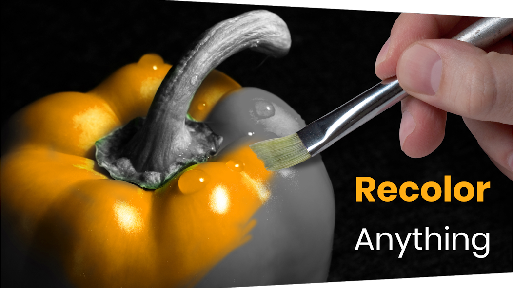 تحميل تطبيق Color Pop Effects Pro مهكر Apk للاندرويد 2026 أخر إصدار مجانا تحميل تطبيق Color Pop Effects Pro مهكر Apk للاندرويد 2026 أخر إصدار مجانا